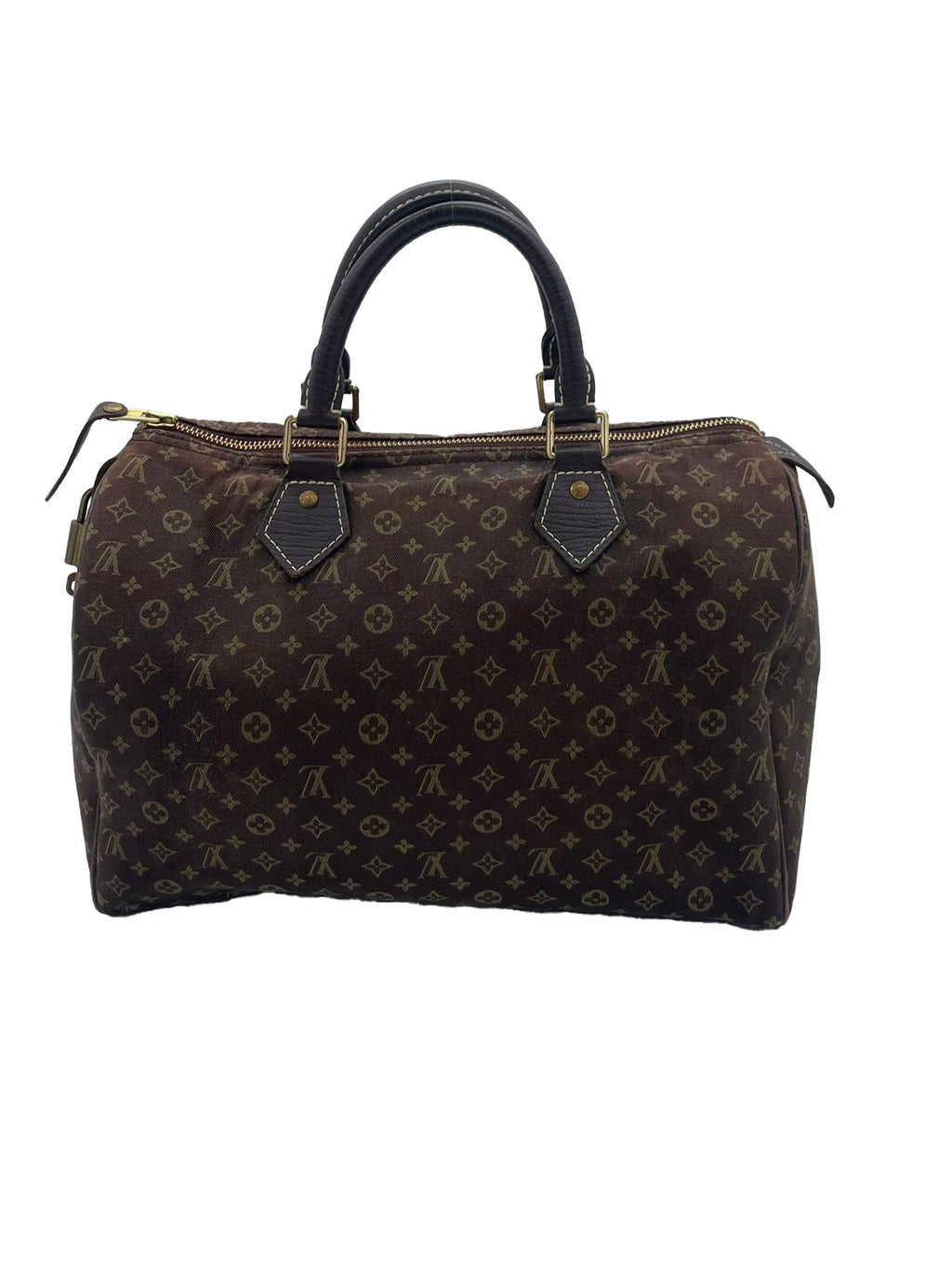 Louis Vuitton Speedy 30 Mini Lin