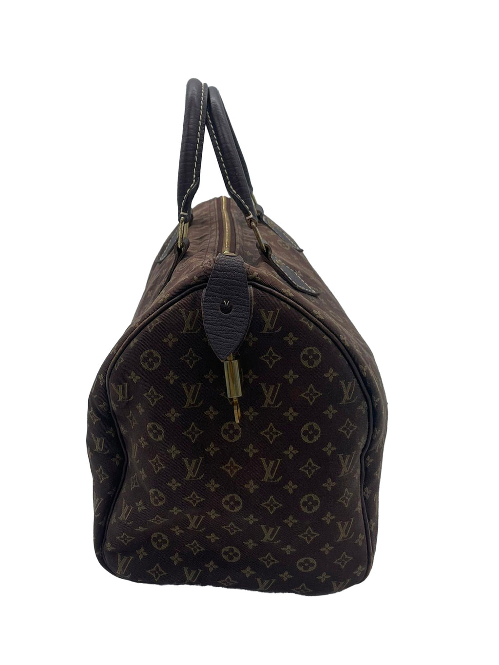 Louis Vuitton Speedy 30 Mini Lin