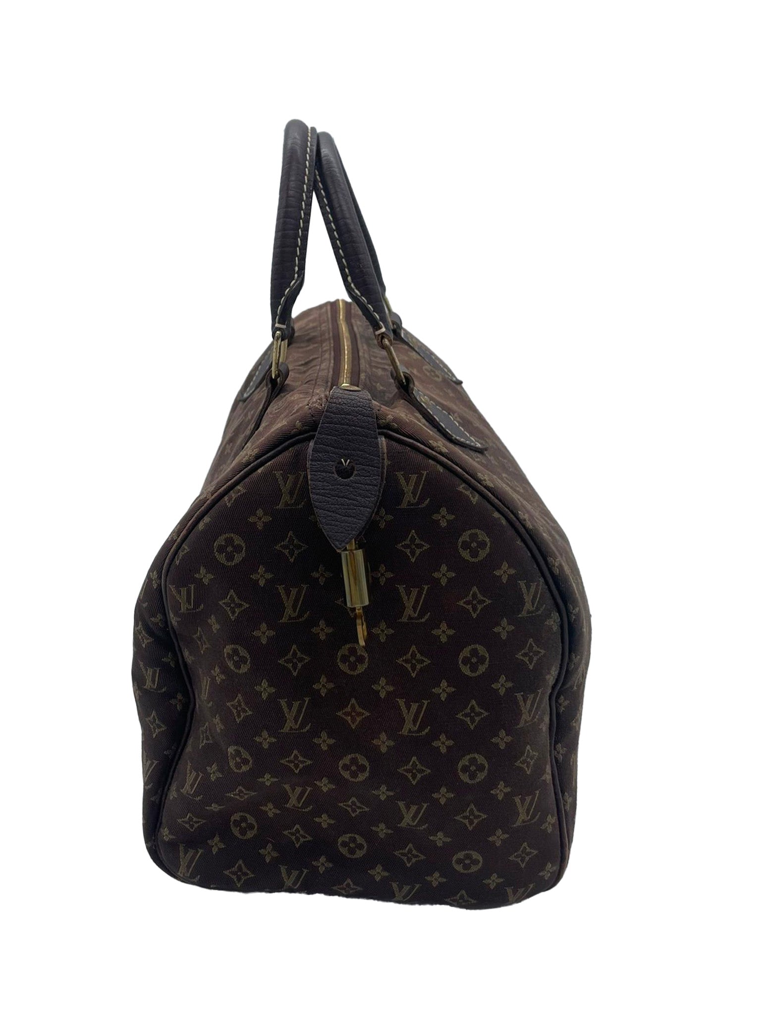 Louis Vuitton Speedy 30 Mini Lin