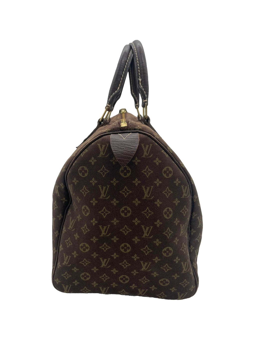 Louis Vuitton Speedy 30 Mini Lin
